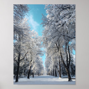 winterwandeling in het park poster