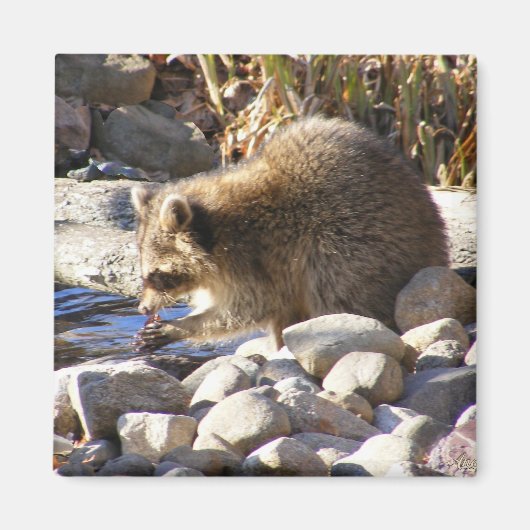 Winterwasbeer ~ magneet (Voorkant)