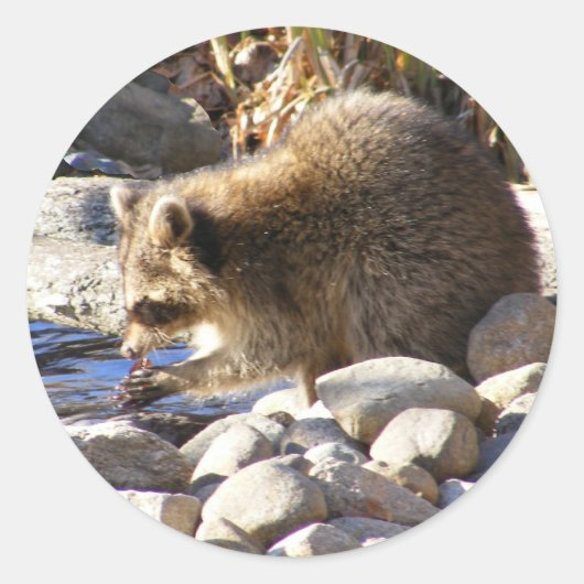 Winterwasbeer ~ sticker (Voorkant)