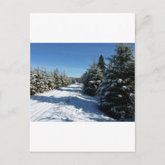 Winterweg Briefkaart