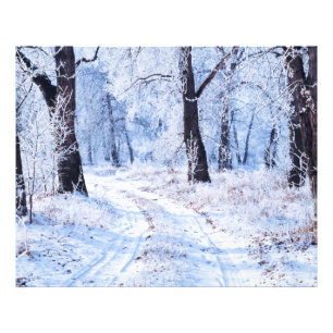 Winterweg Foto Afdruk