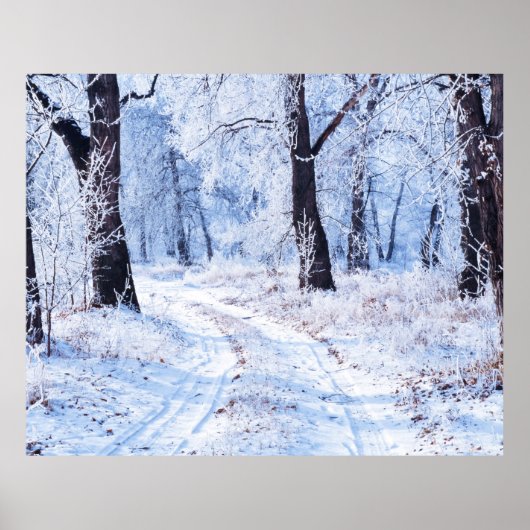 Winterweg Poster (Voorkant)