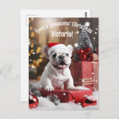  winterwhiskers Wonderland Briefkaart (Voorkant / Achterkant)