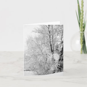 Winterwitte Kaart