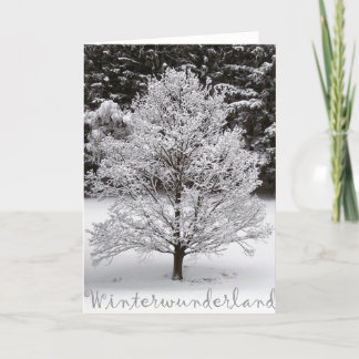 Winterwonderland Feestdagen Kaart