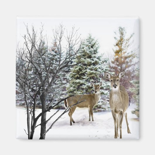 Winterwonderland met witstaartherten koelkast magneet (Voorkant)