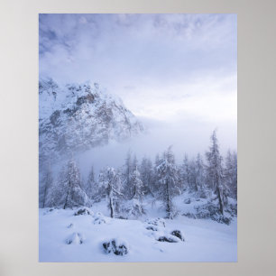 Winterwonderland, mist, sparrenbos en berg poster
