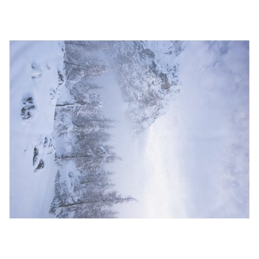 Winterwonderland, mist, sparrenbos en berg tafelkleed (Voorkant (Horizontaal))