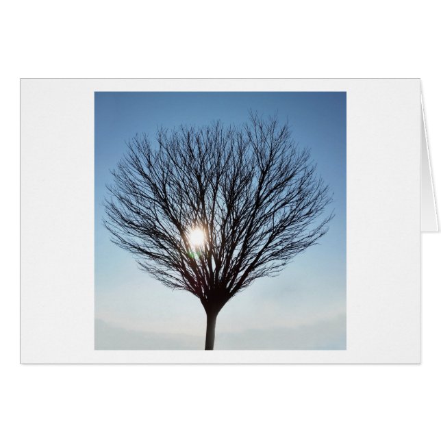 winterzon (Voorkant Horizontaal)