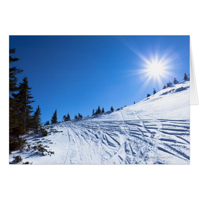 Winterzon 4 (Voorkant Horizontaal)