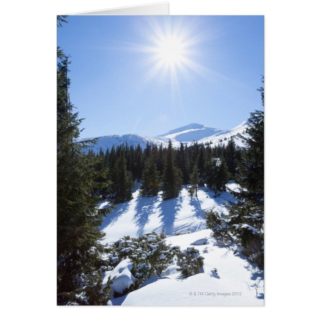 Winterzon 5 (Voorkant)