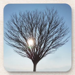 winterzon onderzetter