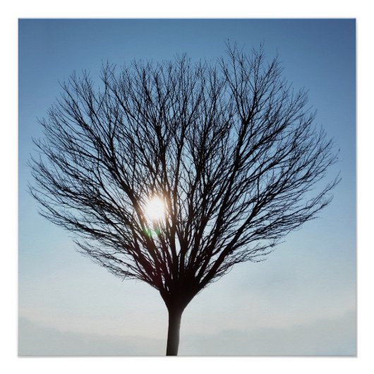 winterzon perfect poster (Voorkant)