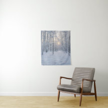 Winterzonlicht in stil berkenbos