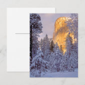 Winterzonlicht op El Capitan bij Yosemite Briefkaart (Voorkant / Achterkant)