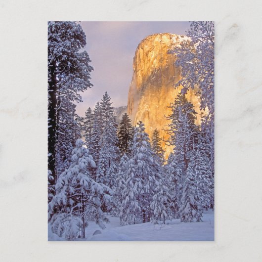 Winterzonlicht op El Capitan bij Yosemite Briefkaart (Voorkant)