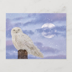 Winterzonnewende Briefkaart