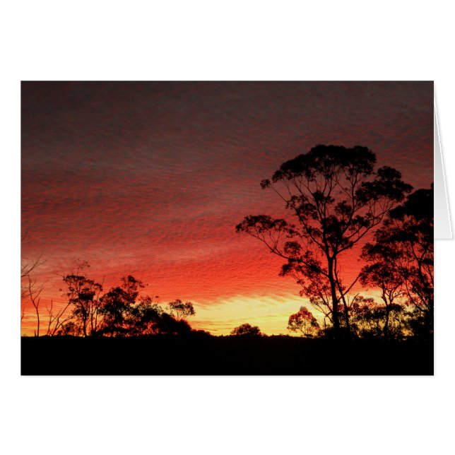 Winterzonsondergang (Voorkant Horizontaal)