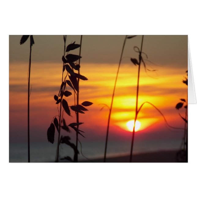 Winterzonsondergang (Voorkant Horizontaal)