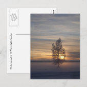 Winterzonsondergang bij Ft. Wainwright Briefkaart (Voorkant / Achterkant)