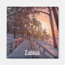 Winterzonsondergang in dennenbos nabij zee magnet magneet