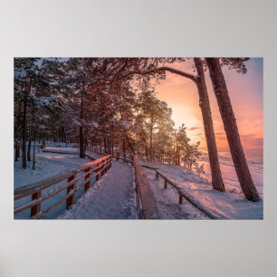 Winterzonsondergang in het dennenbos nabij zee poster