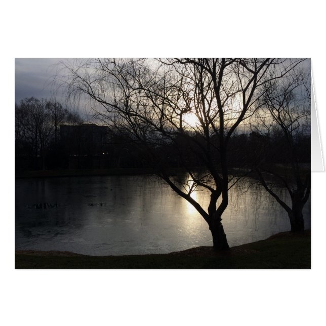 Winterzonsopkomst (Voorkant Horizontaal)