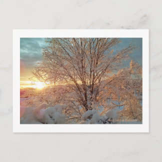 Winterzonsopkomst Briefkaart
