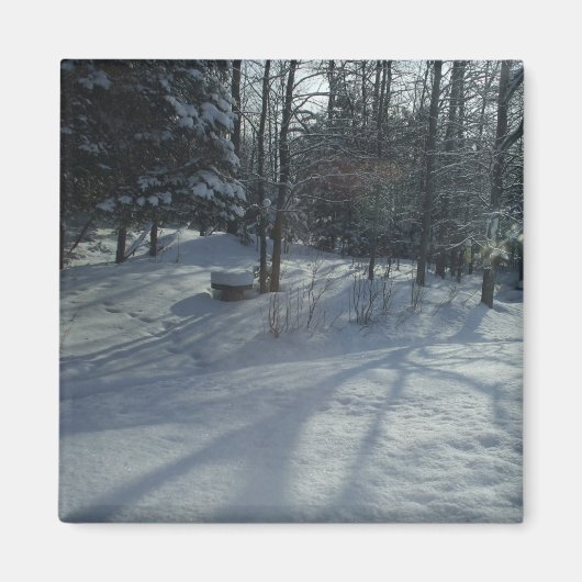 Winterzonsopkomst Magneet (Voorkant)