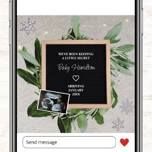Winterzwangerschap Kleine Geheime Sneeuwvlok Sonog Aankondiging