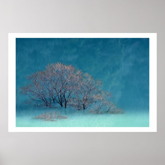 Wintry Trees Lake Reflection Poster (Voorkant)