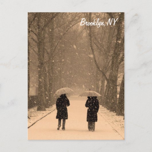 Wintry Walk Brooklyn Briefkaart (Voorkant)