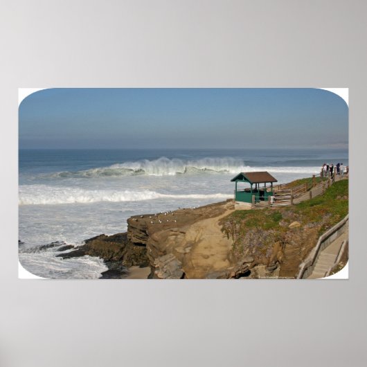 Wipeout Beach, La Jolla Poster (Voorkant)