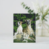 Wippet en jongen briefkaart (Staand voorkant)