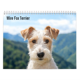 Wire Fox Terrier 2027 Agenda Kalender