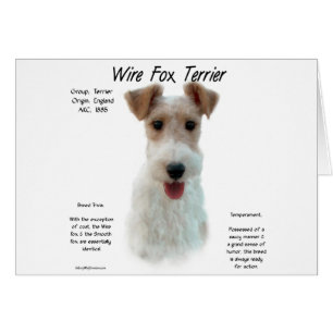 Wire Fox Terrier Geschiedenis; over draadvos terri
