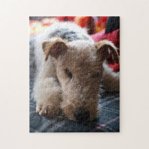 Wire Fox Terrier Legpuzzel