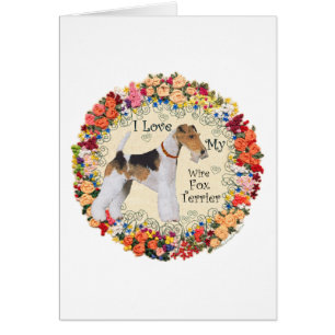Wire Fox Terrier Love