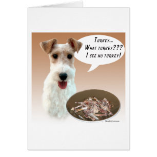 Wire Fox Terrier Turkije