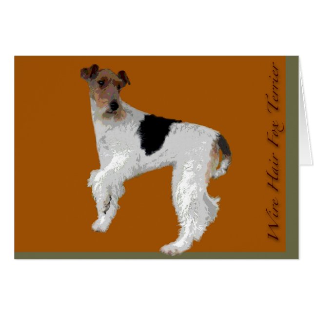 Wire Hair Fox Terrier (Voorkant Horizontaal)
