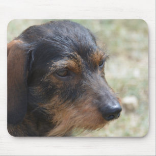 Wire Haire Daschund Dog Muismat