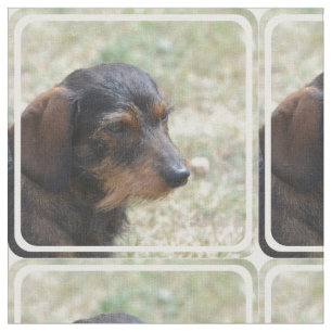 Wire Haire Daschund Dog Stof