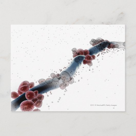 Wireframe microscopisch uitzicht van candida albic briefkaart (Voorkant)