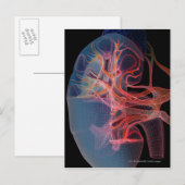 Wireframe van de binnenkant van een nier briefkaart (Voorkant / Achterkant)