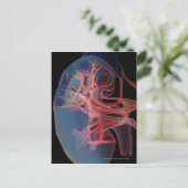 Wireframe van de binnenkant van een nier briefkaart (Staand voorkant)