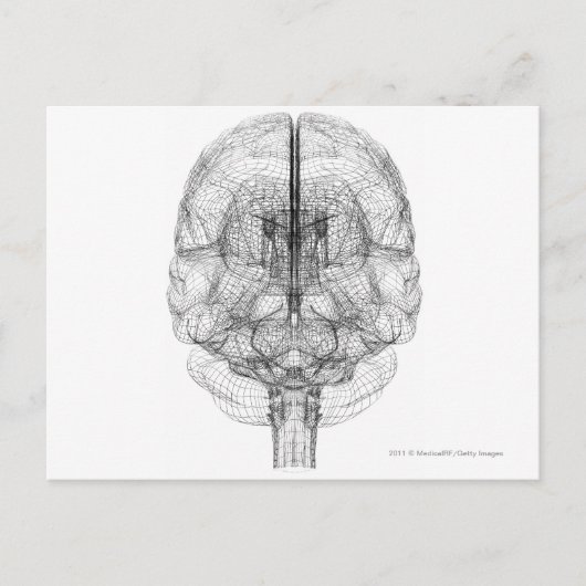 Wireframe van de hersenen briefkaart (Voorkant)