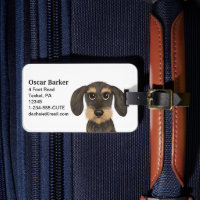 Wirehaered Dachshund | Cute Cartoon Dog Teckel