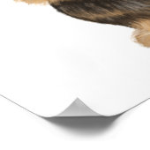 Wirehaered Dachshund | Cute Cartoon Dog Teckel Poster (Hoek)