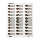Wirehaered Dachshund Teckel Return Address Labels (Full Sheet)