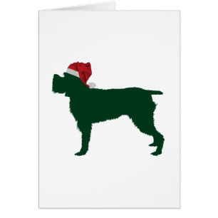 Wirehaered Pointing Griffon